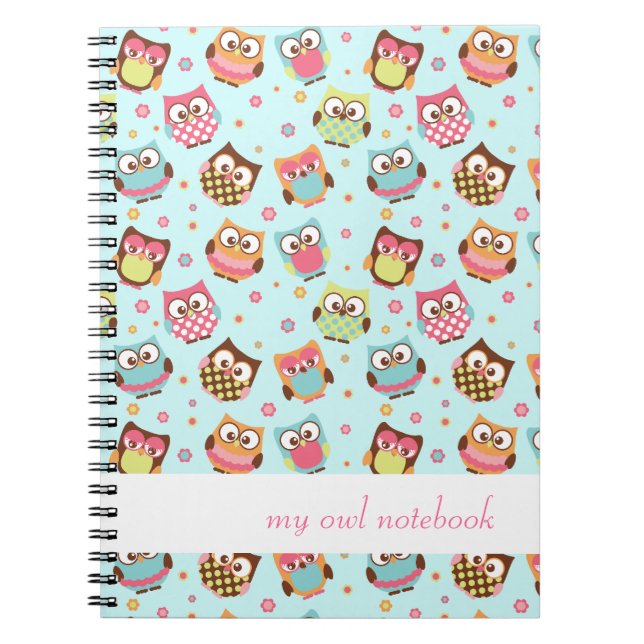 Cute Colorful Owls Notebook (teal) (Front)
