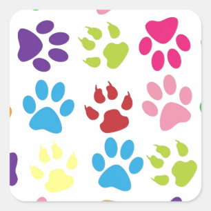 Cute Colorful Paw Pattern Square Sticker