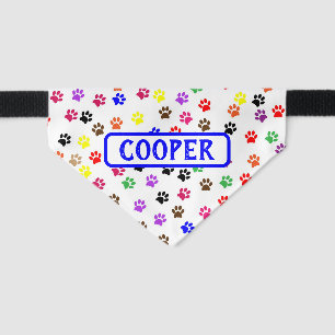 Cute Colorful Paw Print Dog Name Blue Pet Bandana Collar