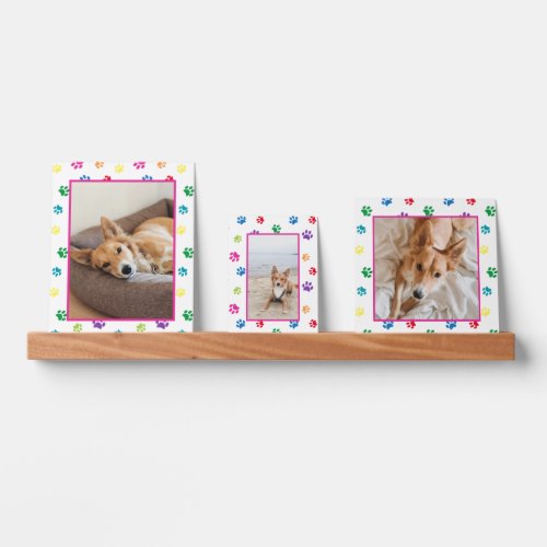 Cute Colorful Paw Prints Custom Photo Collage Picture Ledge