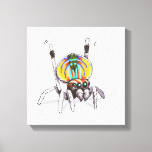 Cute Colorful Peacock Spider Drawing Art Canvas