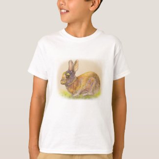Cute colorful Rabbit