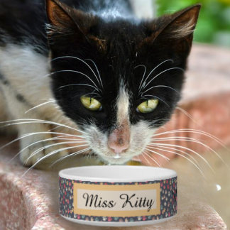Cute Colorful Tiny Cat Paw Prints on Grey Bowl