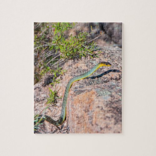 Cute colourful green tree snake kids jigsaw puzzle