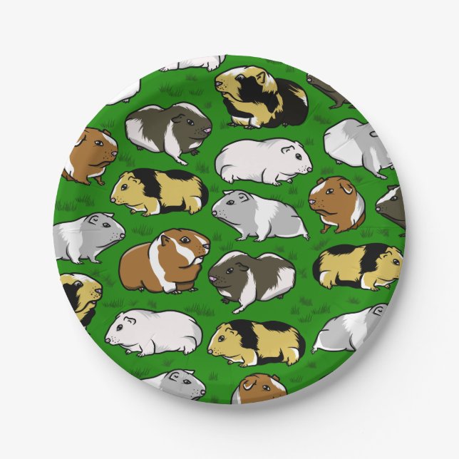 Cute colourful guinea pigs paper plates (Front)