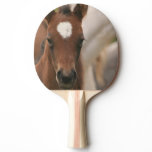Cute Colt Ping Pong Paddle