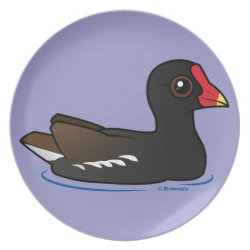 Common Gallinule Plate