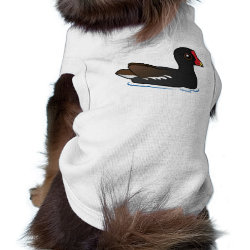 Common Gallinule Dog Sleeveless T-Shirt