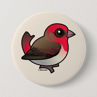 Cute Common Rosefinch Button