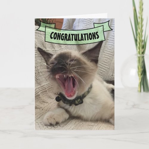 Cute Congratulations Shouting Siamese Kitten Photo Card