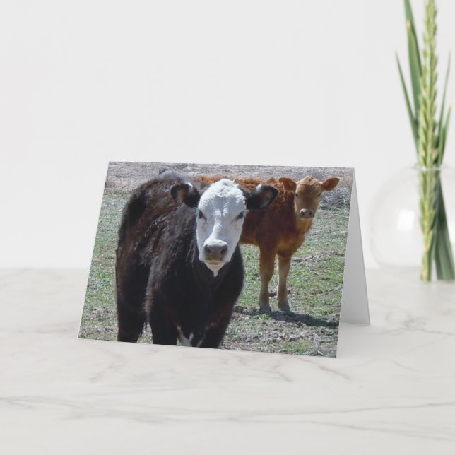 Cute Congratulations Vet Graduate - Ranch Farm DVM Card (Front)