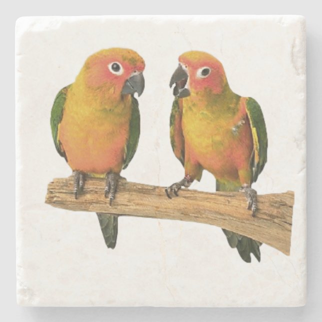 Cute Conure Coasters (Front)