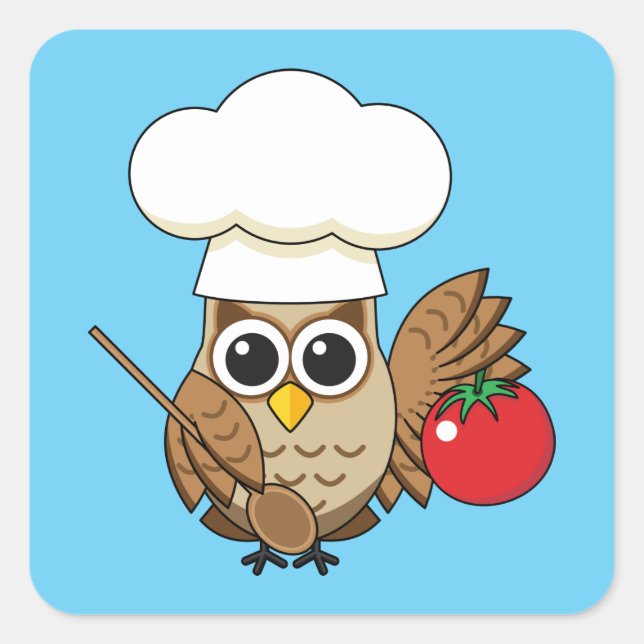 Cute Cooking Owl Cartoon Square Sticker (Front)