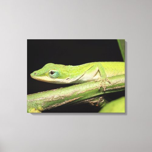 Cute Cool Adorable Fun Green Anole Lizard Animal Canvas Print