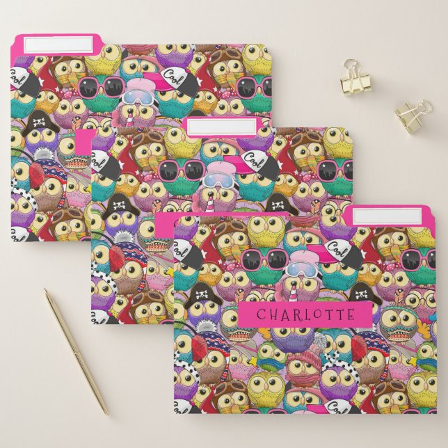 Cute Cool Colorful Owls Cartoon Pattern Kids File Folder (Set)