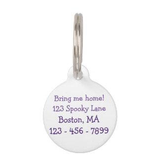 Cute Cool Sitting Cat with blue Eyes Pet ID Tag