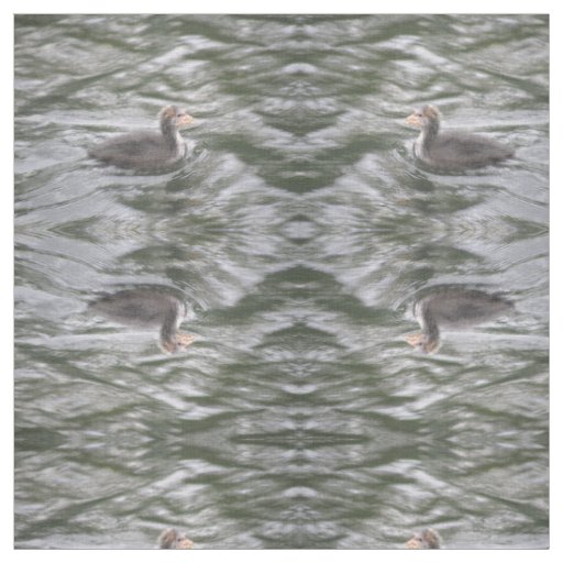 Cute Coot Chick on Choppy Waters Patterned Animal Fabric