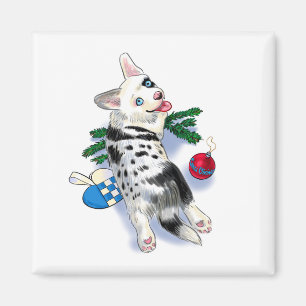 Cute Corgi blue merle Magnet