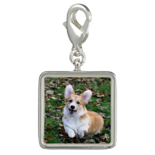 Cute Corgi Dog Leaping Charm