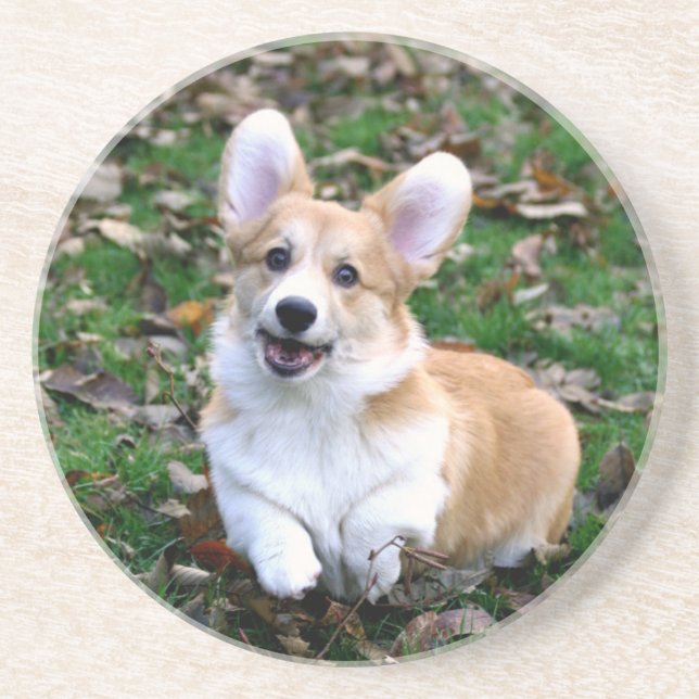 Cute Corgi Dog Leaping Coaster (Front)