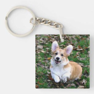 Cute Corgi Dog Leaping Keychain