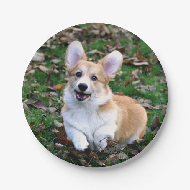 Cute Corgi Dog Leaping Paper Plates (Front)