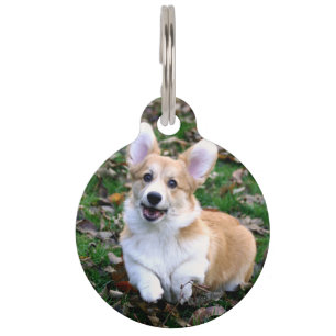 Cute Corgi Dog Leaping Pet ID Tag