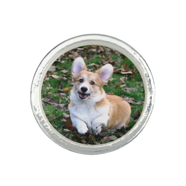 Cute Corgi Dog Leaping Ring (Front)