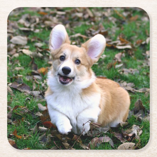 Cute Corgi Dog Leaping Square Paper Coaster (Front)