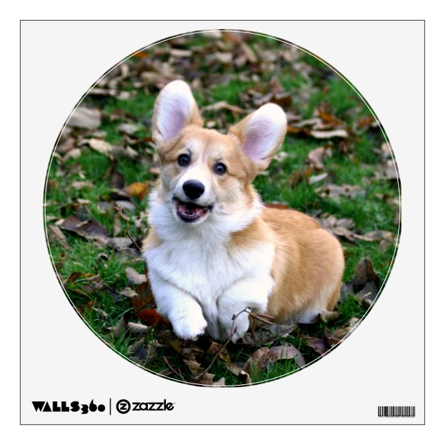 Cute Corgi Dog Leaping Wall Decal (Front)