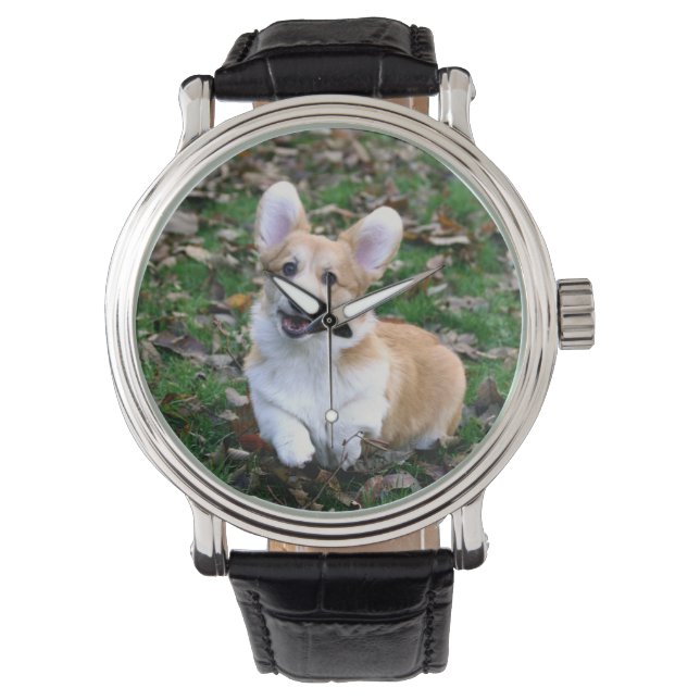Cute Corgi Dog Leaping Watch (Front)