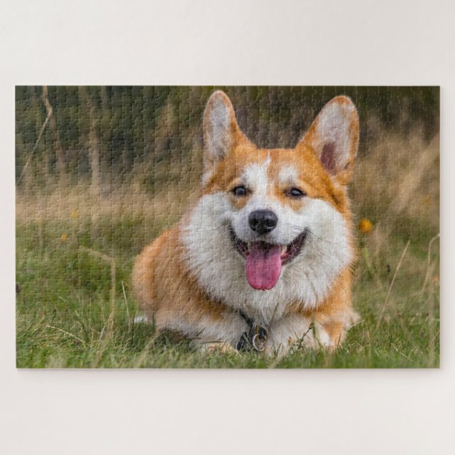 Cute corgi dog photo jigsaw puzzle (Horizontal)