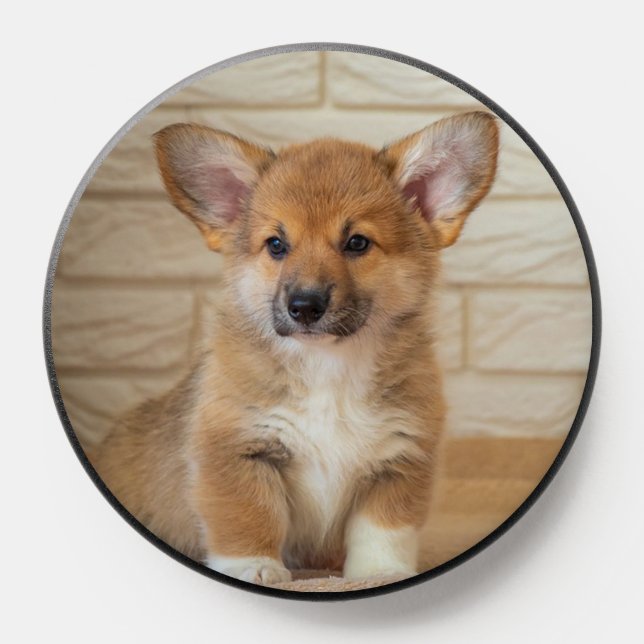 Cute Corgi Dog PopSocket (Popsocket)