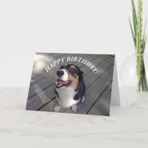 Cute Corgi Happy Birthday Card