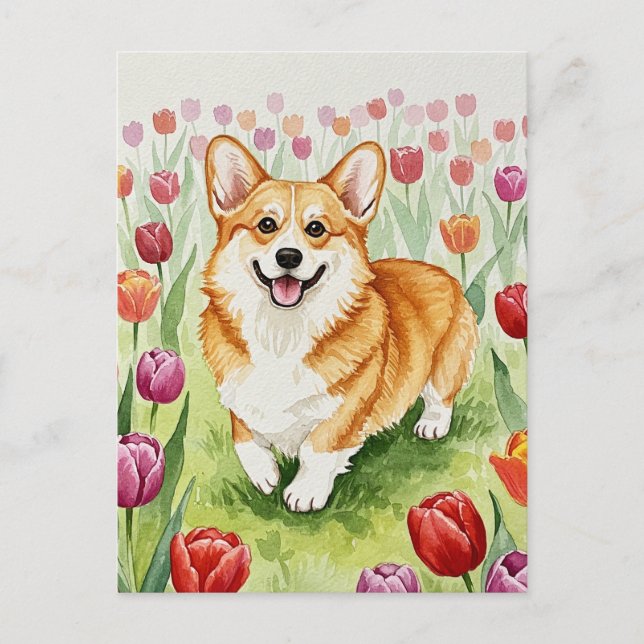 Cute Corgi in Tulips Postcard (Front)