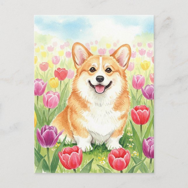 Cute Corgi in Tulips Postcard (Front)