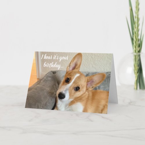 Cute Corgi Photo Funny Dog Lover Birthday Card
