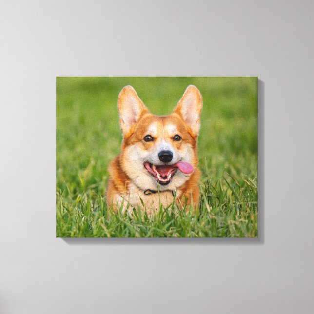 Cute Corgi Playing in the Grass Canvas Print (Front)