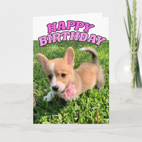 Cute Corgi Puppy Birthday Card