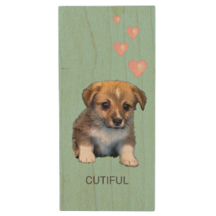 Cute Corgi Puppy Dog & Hearts on Light Blue Wood Flash Drive