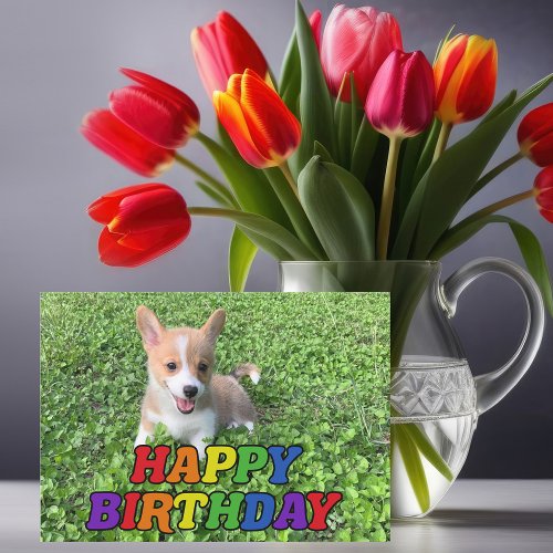 Cute Corgi Puppy Dog Photography Rainbow Birthday Card