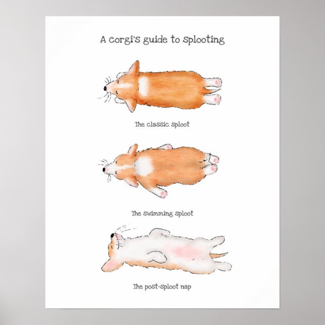 Cute corgi puppy guide to splooting poster (Front)
