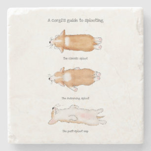 Cute corgi puppy guide to splooting stone coaster