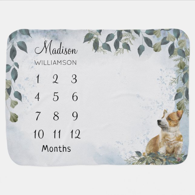 Cute Corgi Puppy Milestone Baby Blanket (Horizontal)