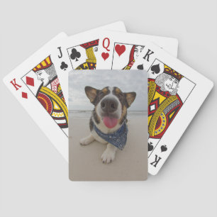 Cute Corgi with Tongue Out Poker Cards