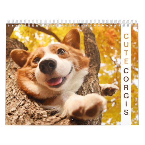 Cute Corgis Puppy  Dog Calendar