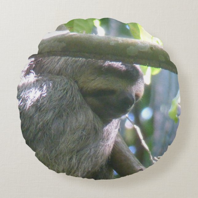 Cute Costa Rica Sloth Round Pillow (Front)