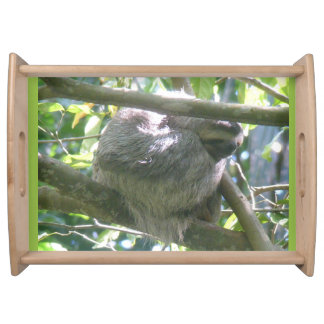 Cute Costa Rica Sloth Serving Tray