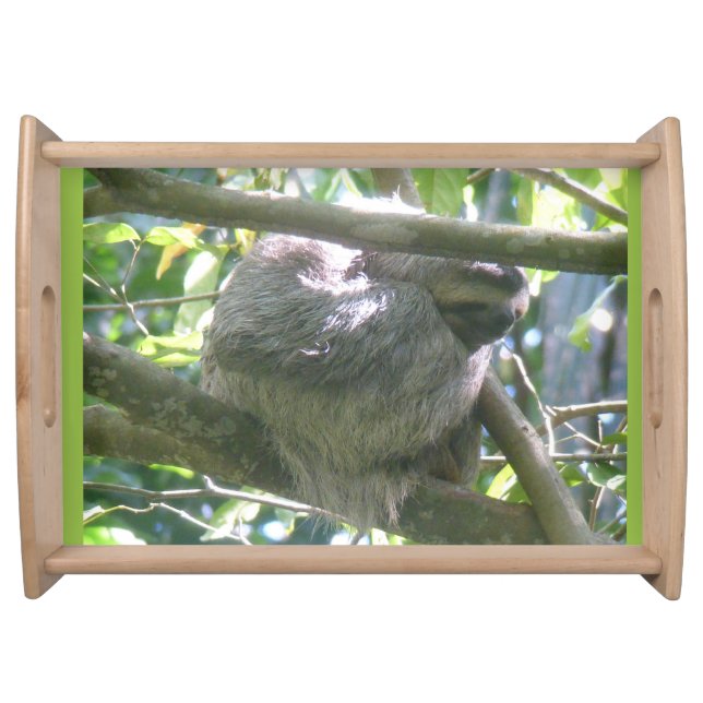 Cute Costa Rica Sloth Serving Tray (Front)