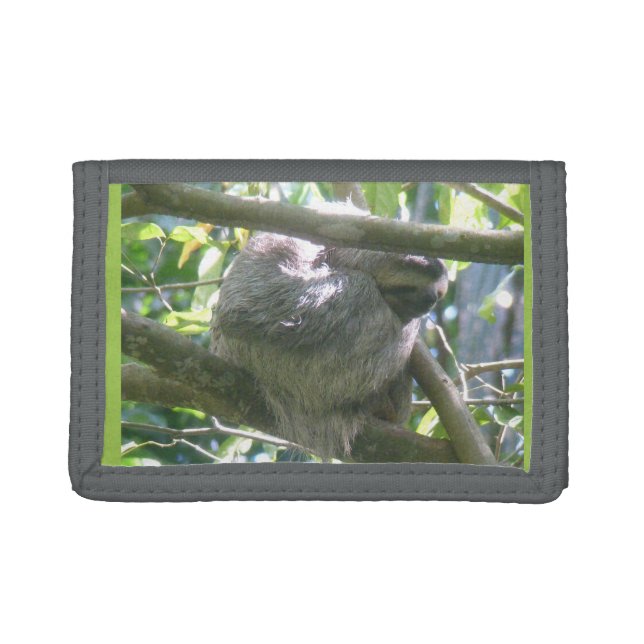 Cute Costa Rica Sloth Wallet (Front)